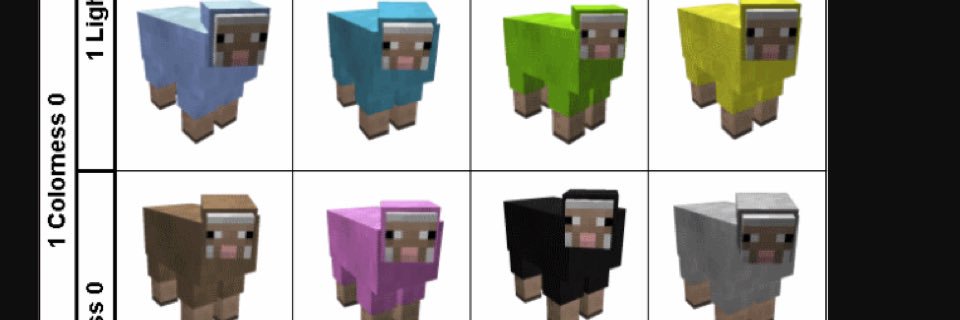 FerByNation's profile banner image