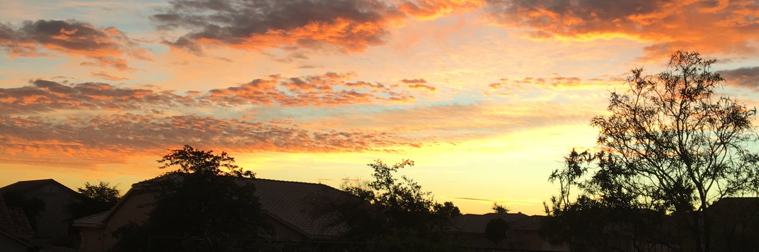 Suzanne Lamminen ☮️ banner