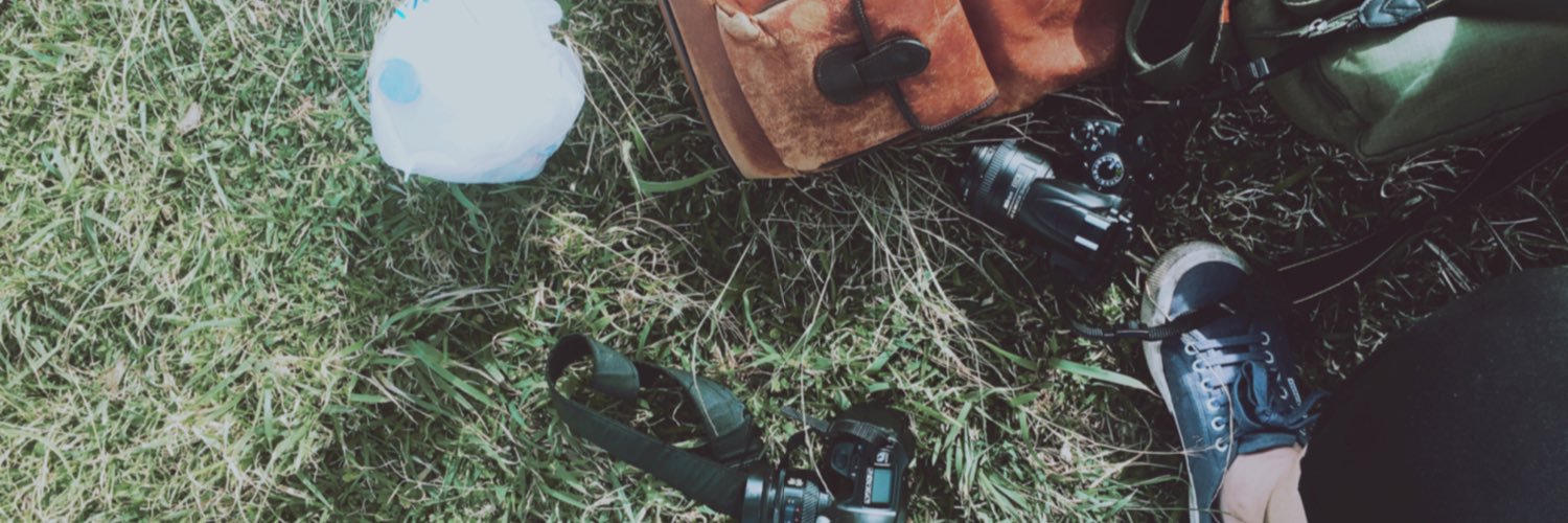 beyoncy's profile banner image