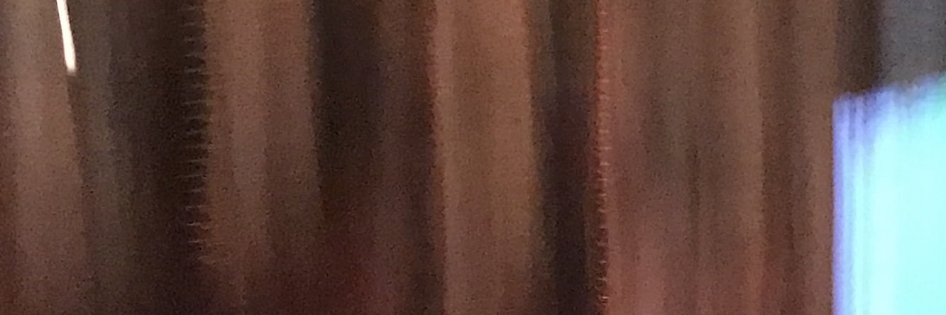 rylinnivy's profile banner image