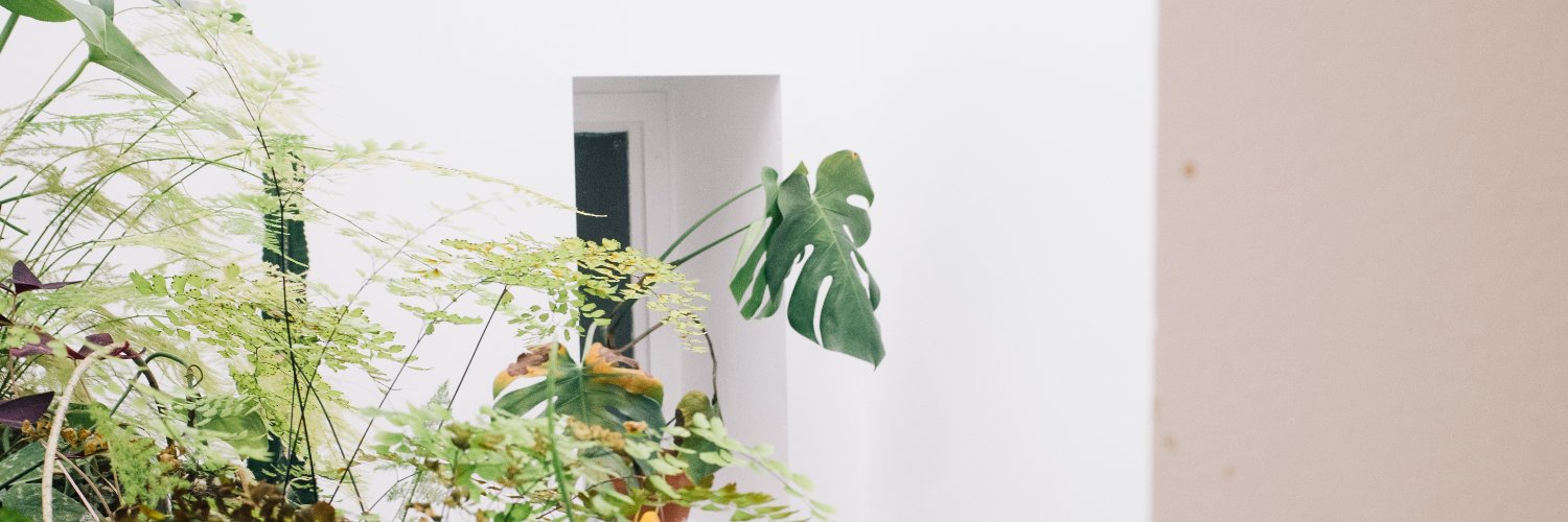 raychan's profile banner image