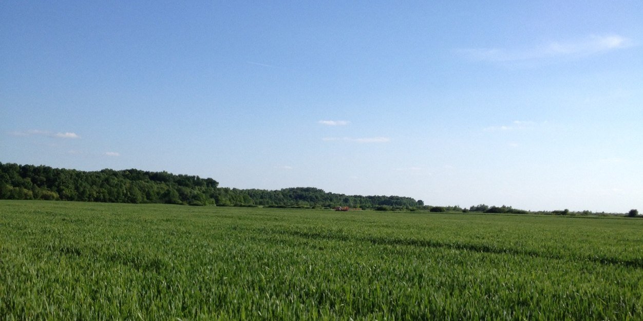 DyanneSch's profile banner image