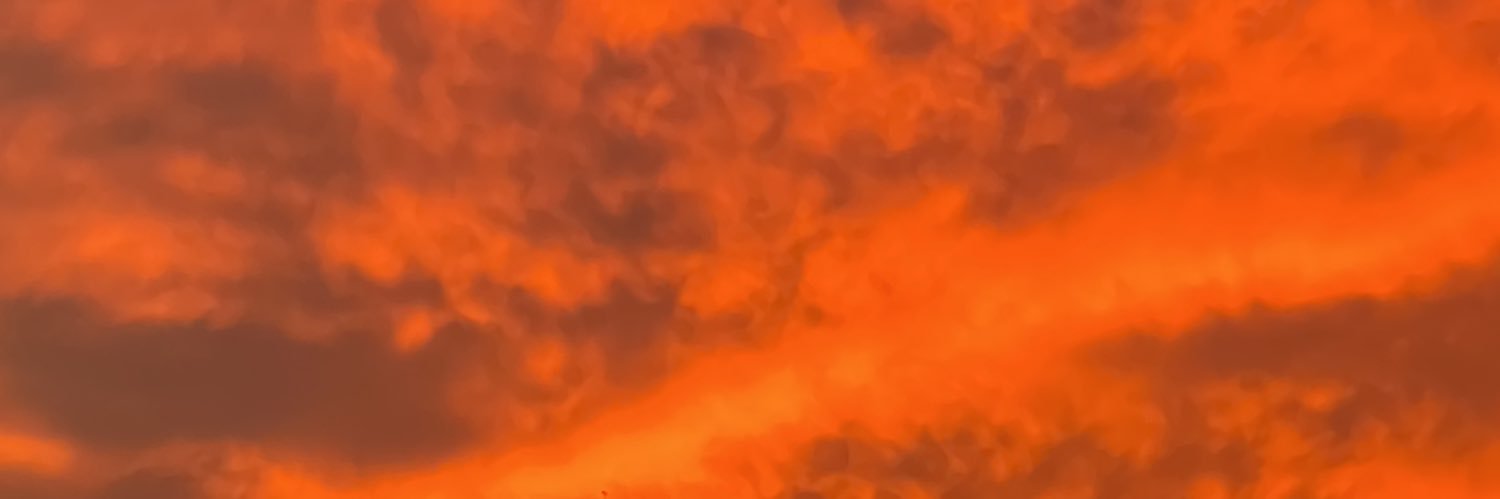 MALII2_'s profile banner image