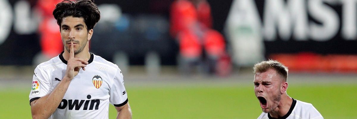 Lindo Gatito😺 banner