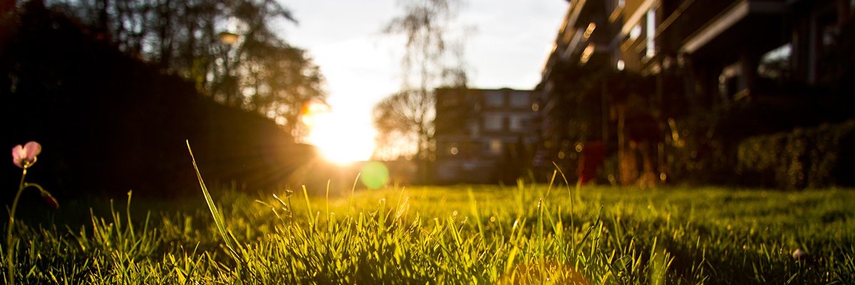 Jeremy Németh banner