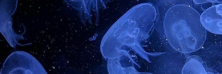 8jui09's profile banner image