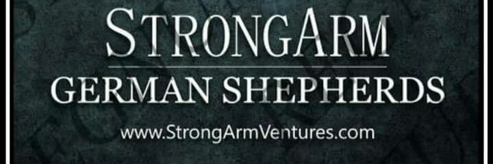 StrongArmGSDs's profile banner image