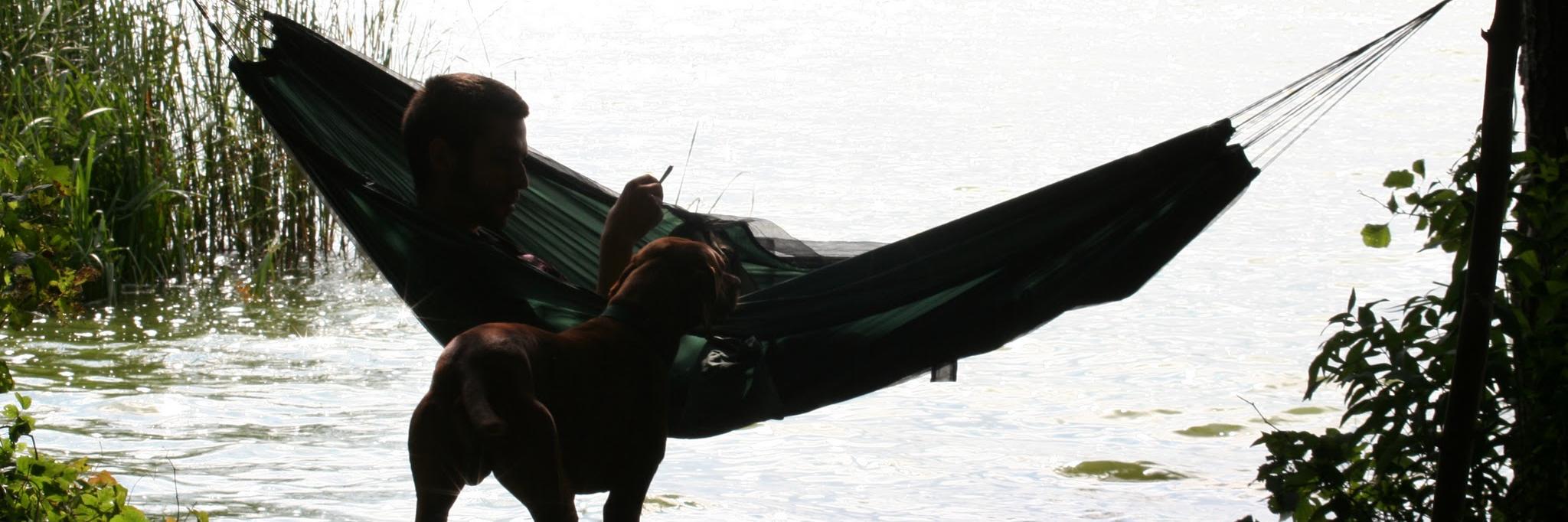 entropie banner