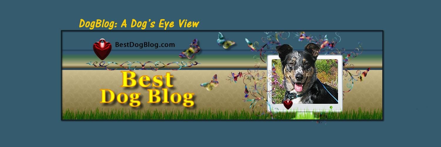 mydogblog's profile banner image