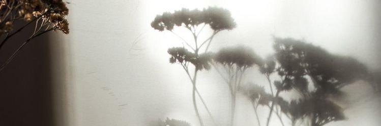 D ✧･ﾟ: *✧･ﾟ:* banner