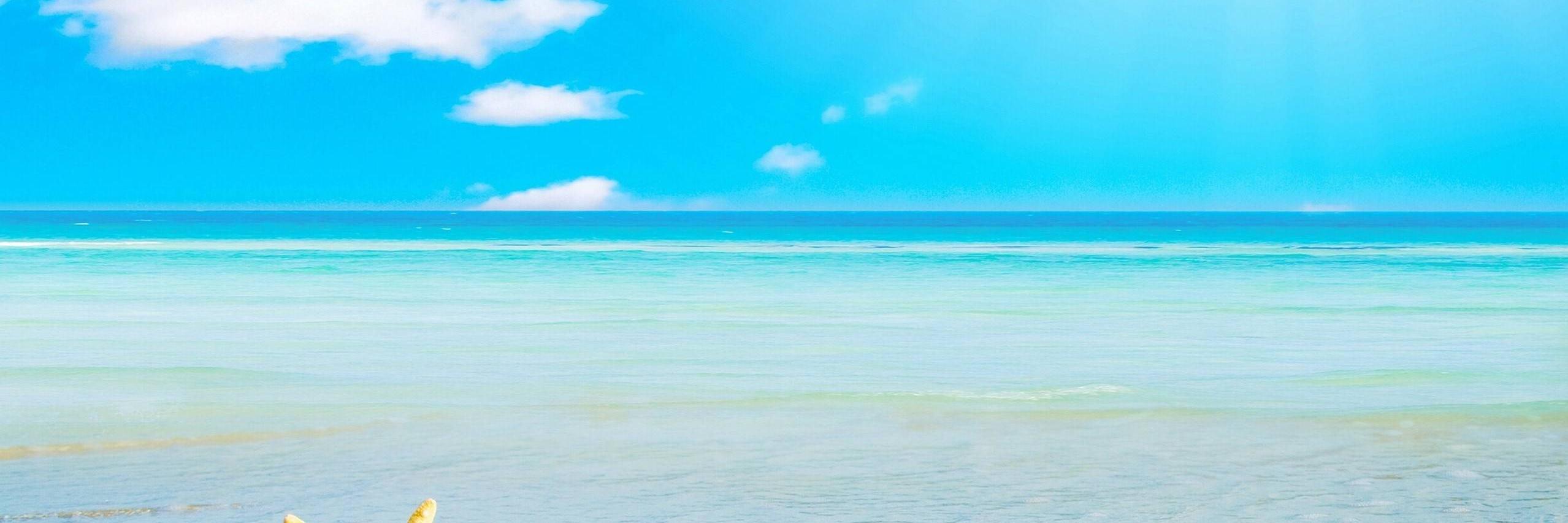 mwoodroffe's profile banner image