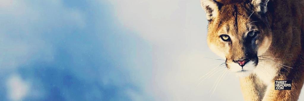 AliShah5140's profile banner image