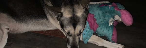 Brossfacebrip Profile Banner