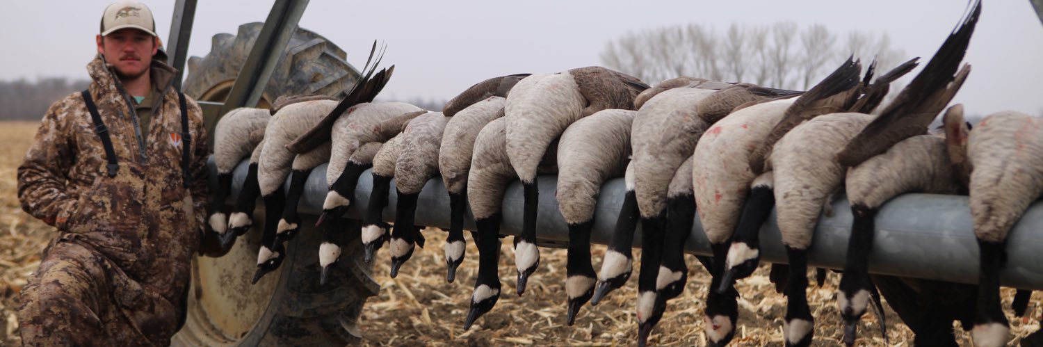 ccduckcall17's profile banner image