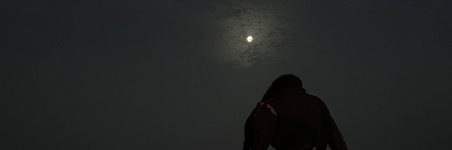 بدري صالح الشيب banner