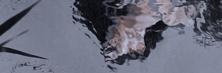 Calilynx's profile banner image