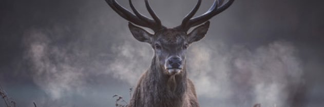Ansty Football Club banner