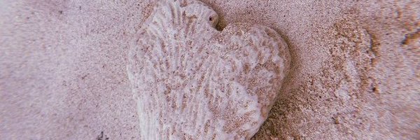 PreciousShange Profile Banner