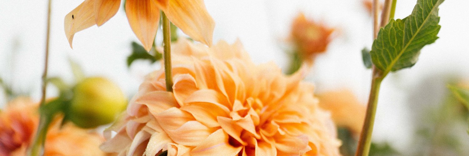 yazminmachuca_'s profile banner image