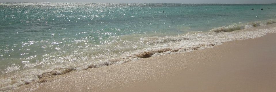 mamitch4's profile banner image