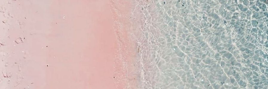 P19Honey's profile banner image