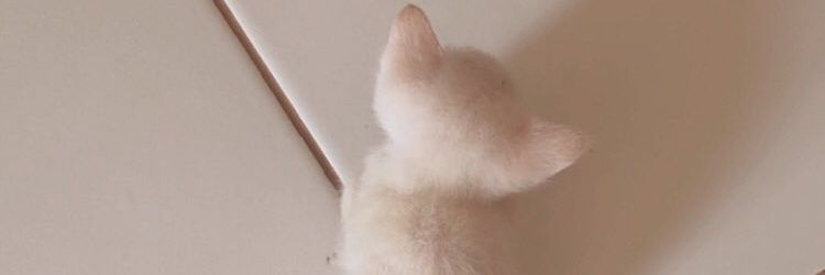 Mamaay_'s profile banner image
