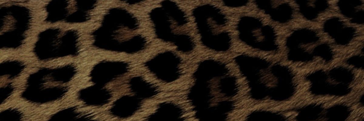sakinolruby's profile banner image