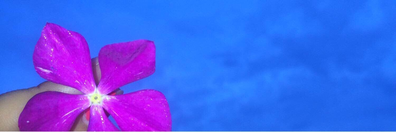 SomerHenry's profile banner image