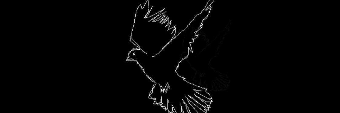 NAltvater's profile banner image