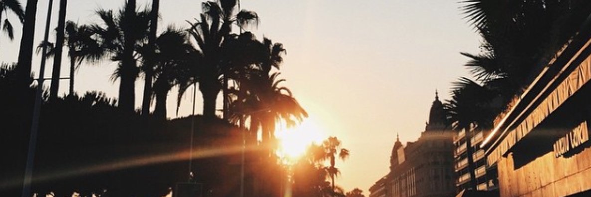AmyMMason's profile banner image