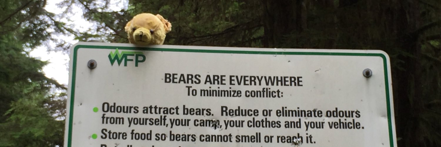 Big John Bear banner