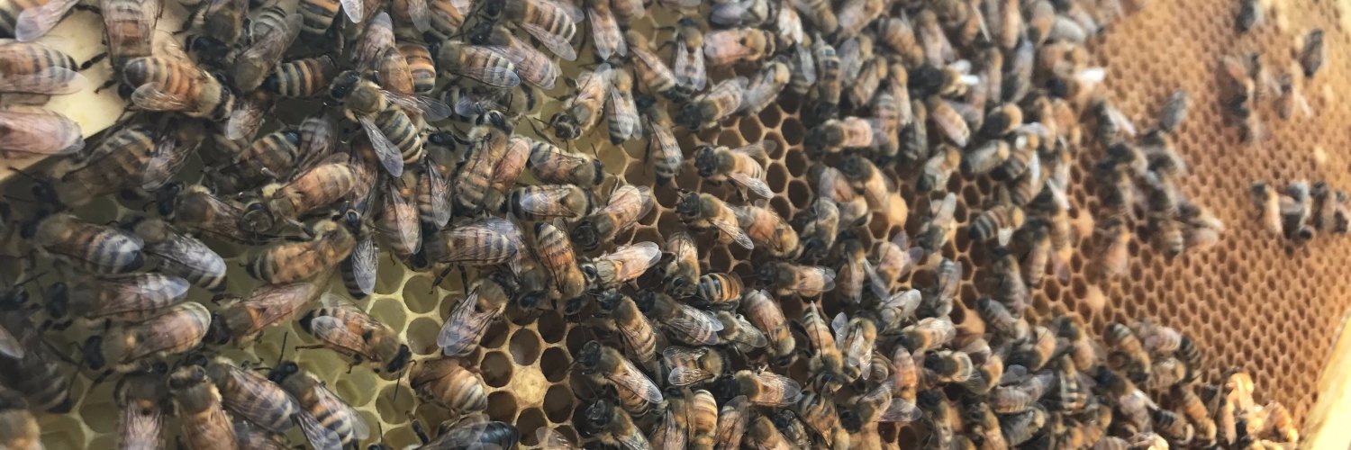 beepublic's profile banner image