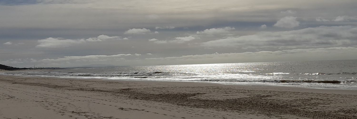 Lic. Rocío Daniela Gozurreta 🦋 banner