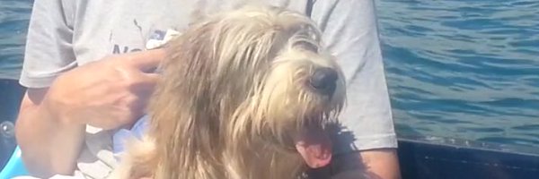 tjpfletch Profile Banner