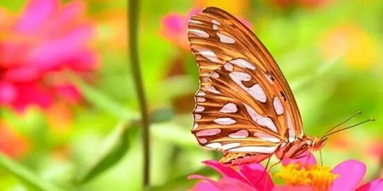 Clau8806's profile banner image