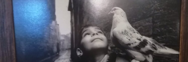 moarnfugel's profile banner image