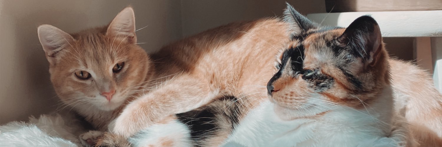 Hali_mc's profile banner image