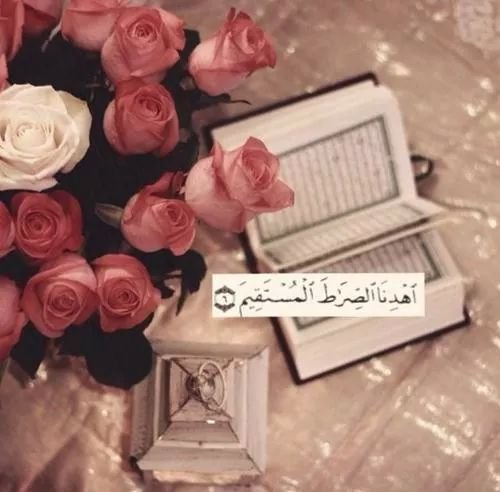 Alaaa_elshater's profile banner image