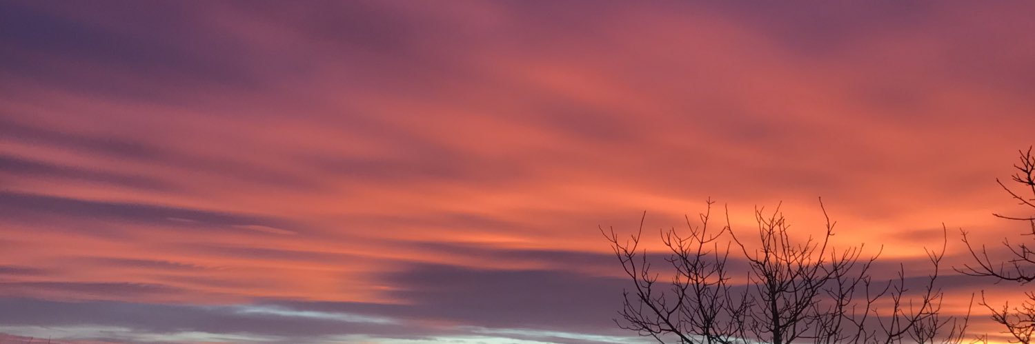 AneLapitz's profile banner image