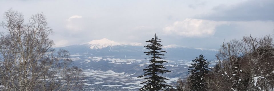 moziriz's profile banner image