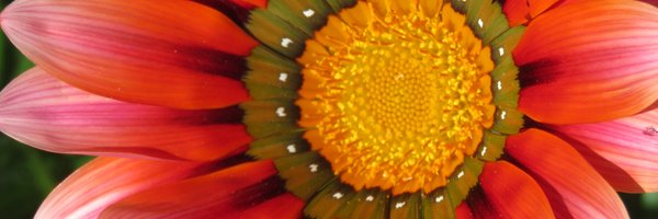 Retief_Dan Profile Banner