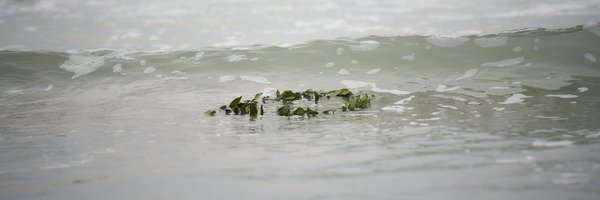 jmssmv Profile Banner