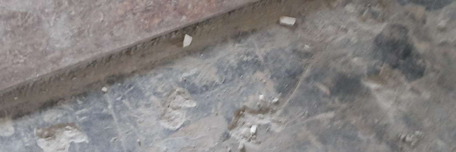Diya Adeogun banner