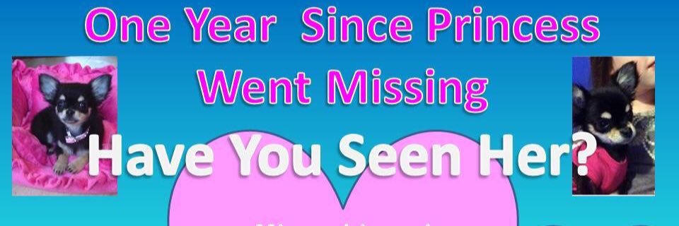 HelpFindPrincess banner