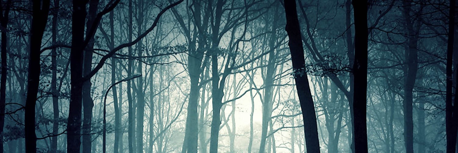 therealwitches_'s profile banner image
