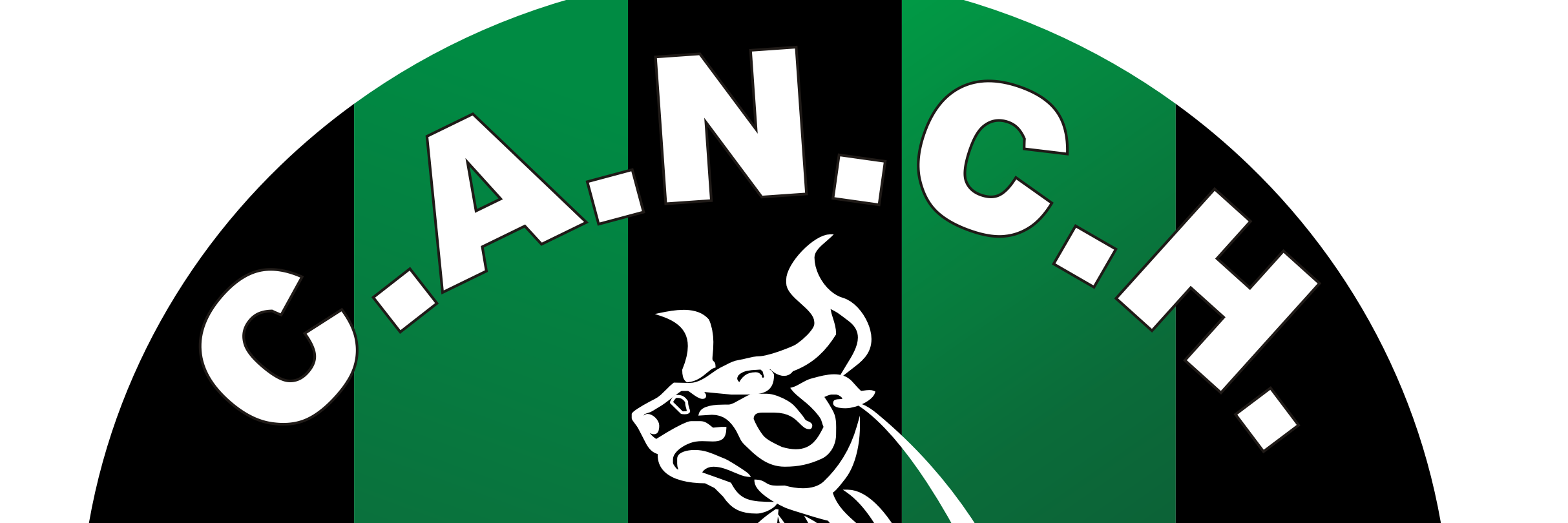 Nueva Chicago Futsal banner