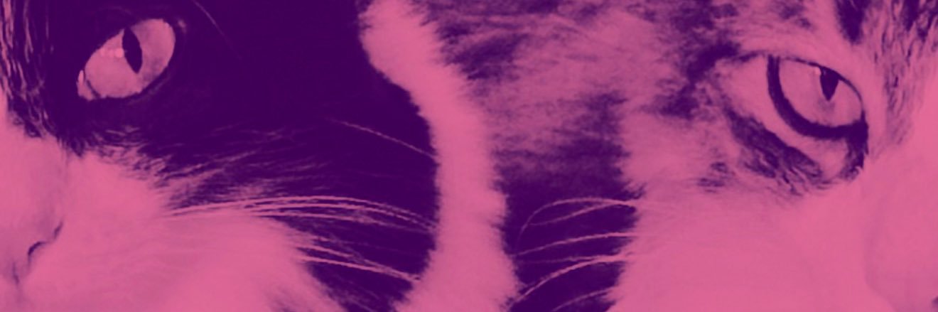 AmandaLips_'s profile banner image