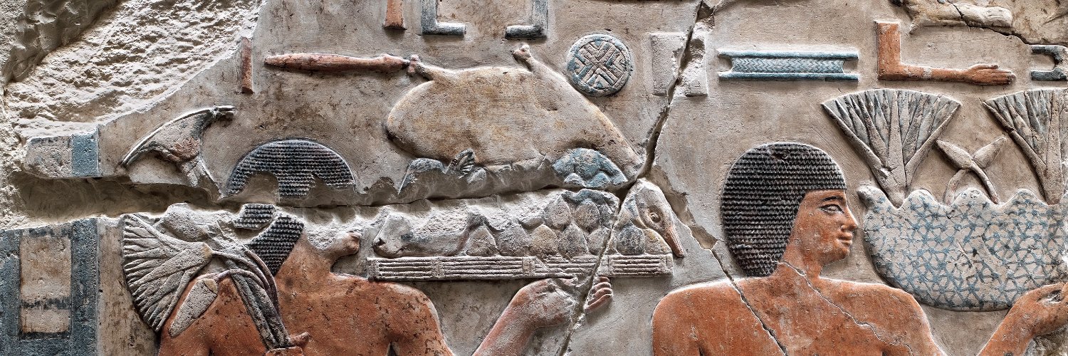 VIEWS Project 🌈 banner