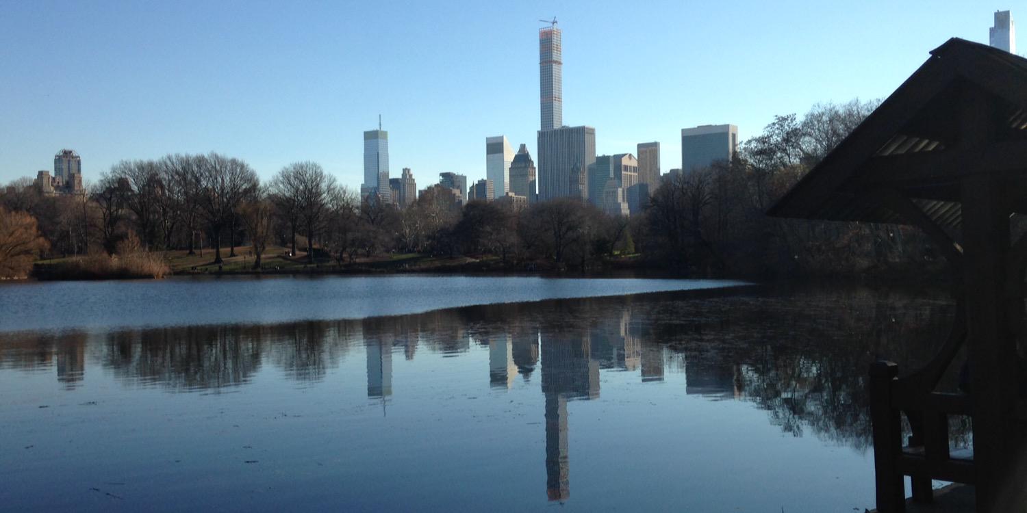 Fernanda Lucio banner