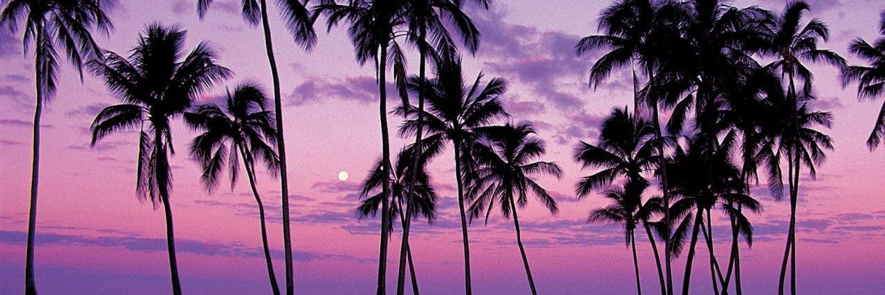 Elenagalletas's profile banner image